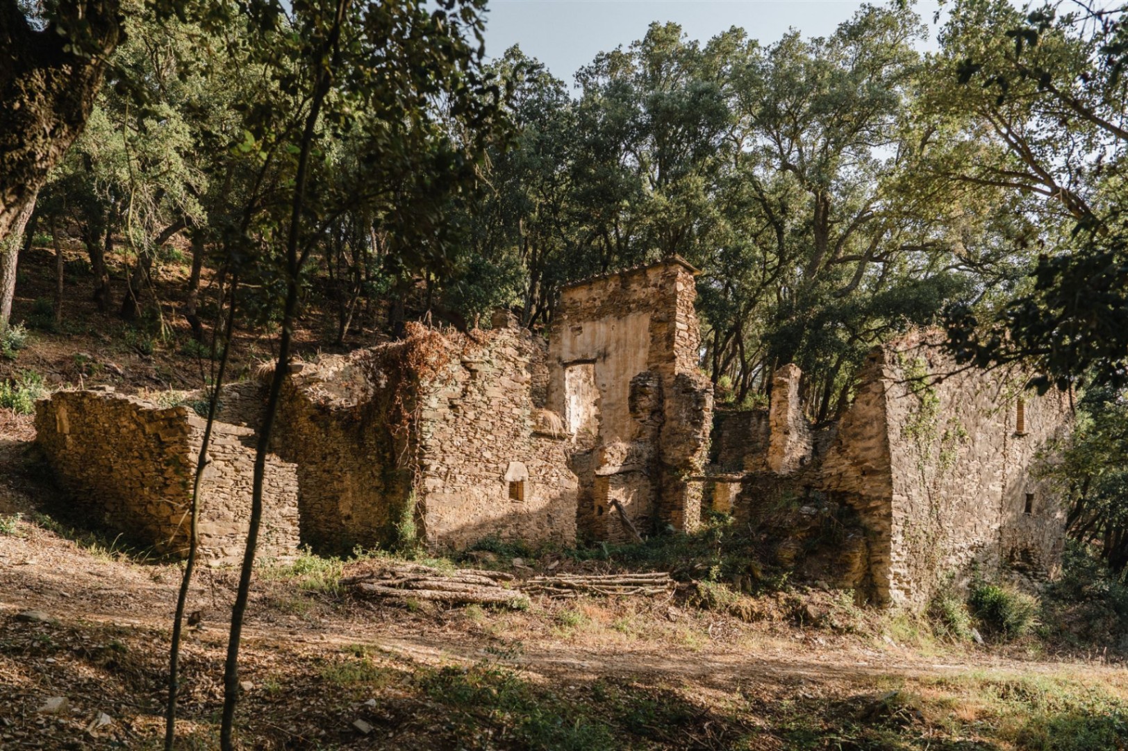 Masia per reconstruir al mig del bosc